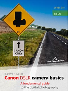 Canon DSLR camera basics A fundamental guide to the digital photography
