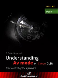 Understanding Av mode on Canon DSLR Take control of the aperture 