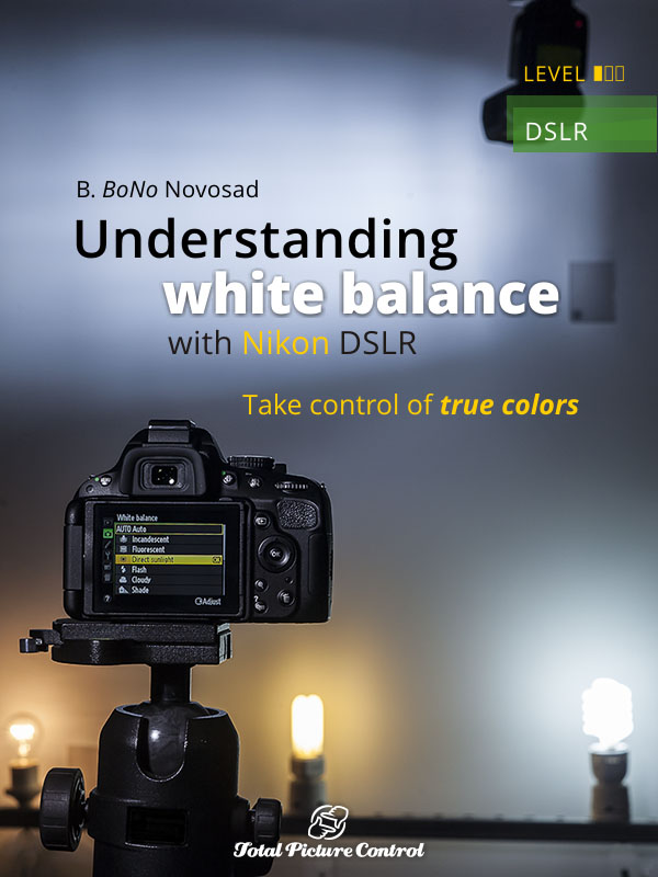 Understanding white balance with Nikon DSLR Take control of true colors