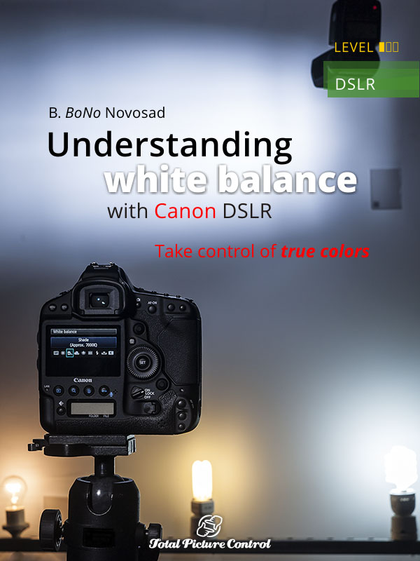 Understanding white balance with Canon DSLR Take control of true colors